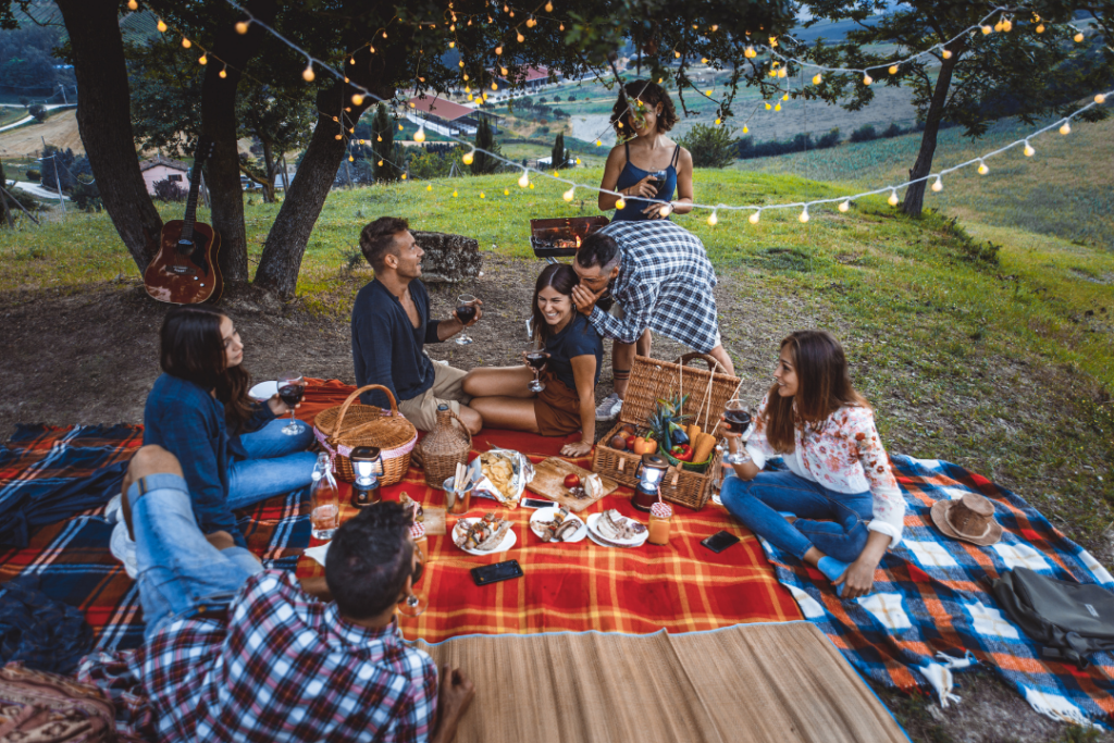 22nd birthday ideas - Group of friends having a birthday picnic